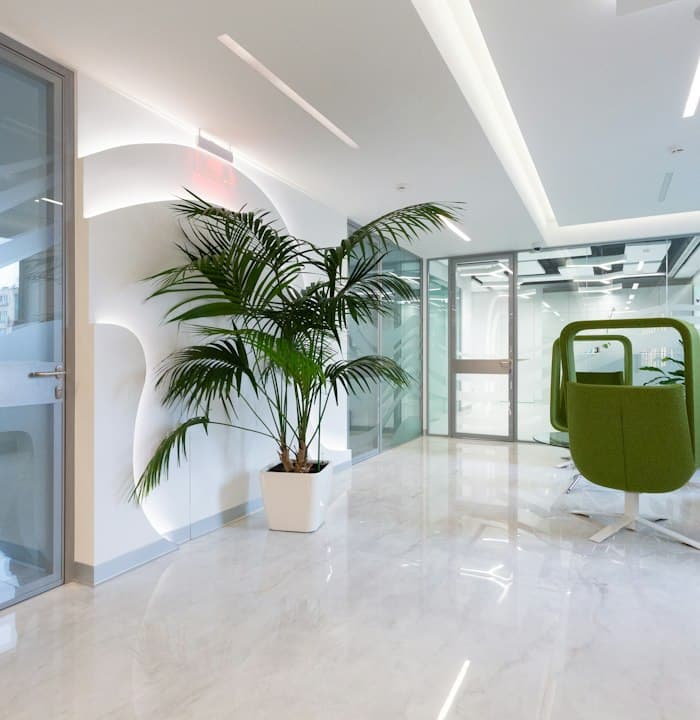 Sala de espera ampla com planta e poltrona confortável